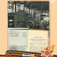 Волков Н.Ф.