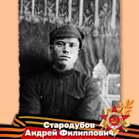 Стародубов А.Ф.